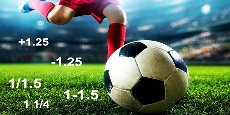 Tham khảo phương pháp đọc kèo 1 trái 1 trái rưỡi châu Á